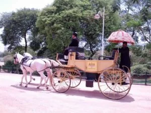 AMAZING TRIP TO INDIA: EXPLORE THE MAJESTY OF INCREDIBLE INDIA 119