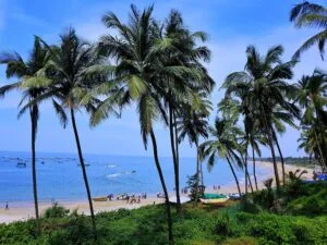 AMAZING TRIP TO INDIA: EXPLORE THE MAJESTY OF INCREDIBLE INDIA 4
