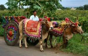 AMAZING TRIP TO INDIA: EXPLORE THE MAJESTY OF INCREDIBLE INDIA 25