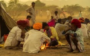 AMAZING TRIP TO INDIA: EXPLORE THE MAJESTY OF INCREDIBLE INDIA 103
