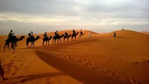 AMAZING TRIP TO INDIA: EXPLORE THE MAJESTY OF INCREDIBLE INDIA 97
