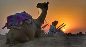 AMAZING TRIP TO INDIA: EXPLORE THE MAJESTY OF INCREDIBLE INDIA 101