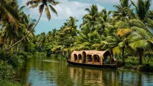 AMAZING TRIP TO INDIA: EXPLORE THE MAJESTY OF INCREDIBLE INDIA 89