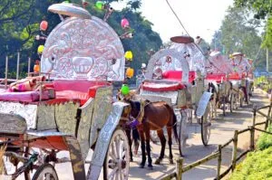 AMAZING TRIP TO INDIA: EXPLORE THE MAJESTY OF INCREDIBLE INDIA 27