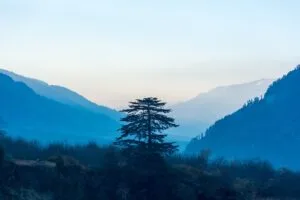 AMAZING TRIP TO INDIA: EXPLORE THE MAJESTY OF INCREDIBLE INDIA 43