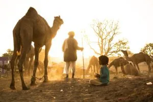 AMAZING TRIP TO INDIA: EXPLORE THE MAJESTY OF INCREDIBLE INDIA 51