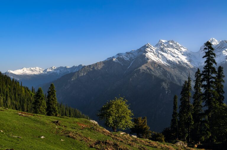 Read more about the article HIMACHAL A GIFT OF HIMALAYA TO THE WORLD