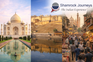 Read more about the article AMAZING GOLDEN TRIANGLE TOUR OF INDIA