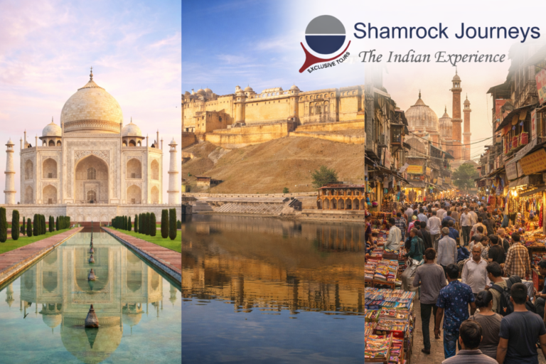 Read more about the article AMAZING GOLDEN TRIANGLE TOUR OF INDIA