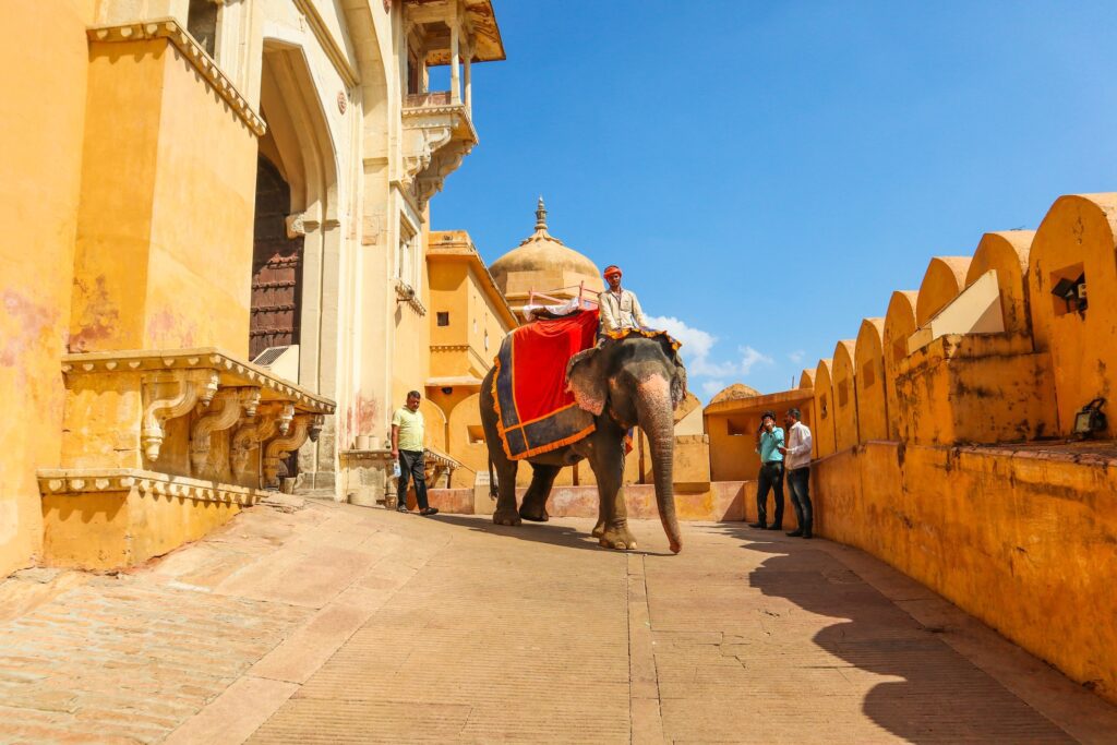 Tourists exploring Amber Fort in Jaipur during Rajasthan cultural tour
