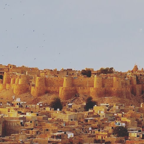 Golden Jaisalmer Fort and city skyline during Rajasthan tour with Shamrock Journeys