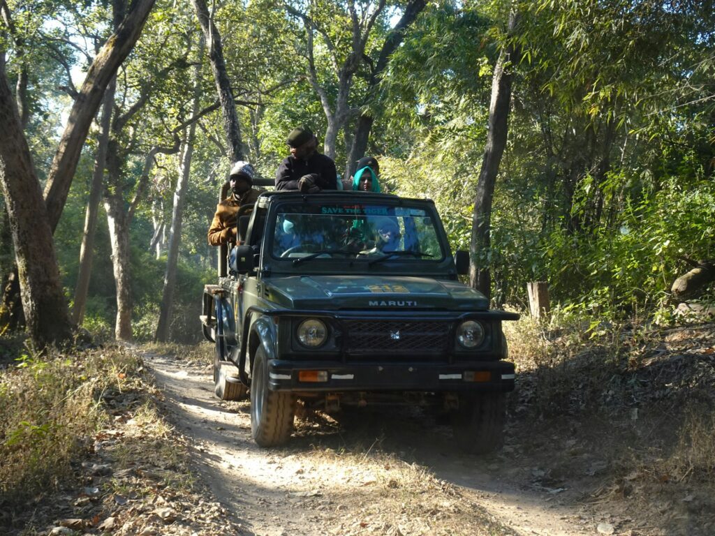 Jeep safari through Panna National Park on a 5-day Khajuraho and Panna tiger tour, searching for wildlife.