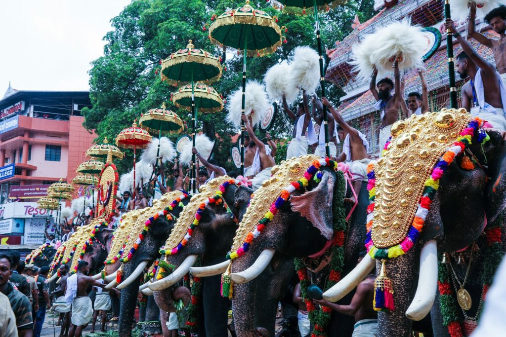Experiencing vibrant festivals on a Kerala cultural tour, witnessing the Thrissur Pooram procession