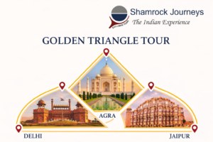 Collage of Golden Triangle tour experiences: vibrant markets, historic forts, and local cuisine in India.