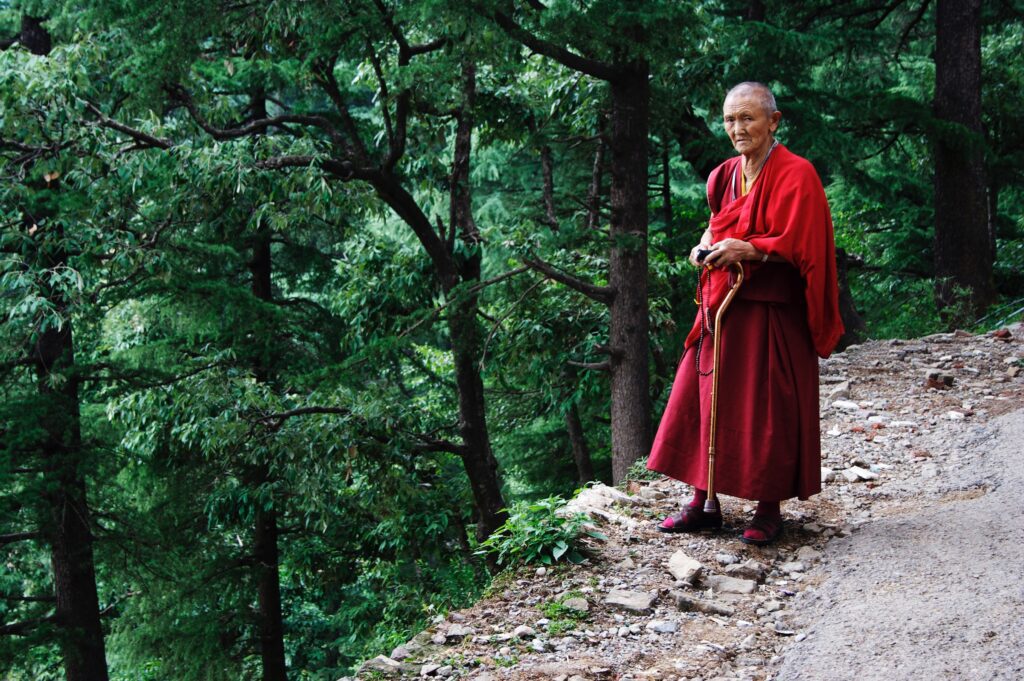 Tibetan culture in McLeod Ganj, Dharamshala on a 6-day Himalayan tour.