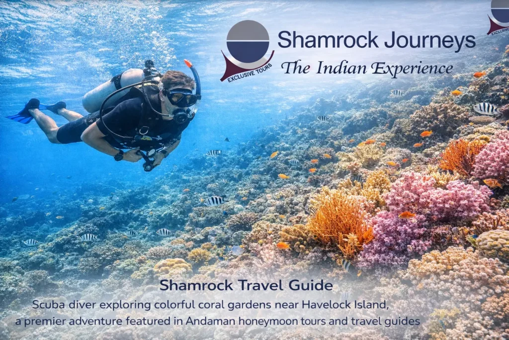 Scuba diving adventure in Havelock's coral reefs, included in premium Andaman tour packages for water sports lovers.
