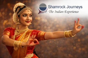 A dancer adorned in a traditional silk Bharatanatyam costume performing precise mudras (hand gestures) and expressions.