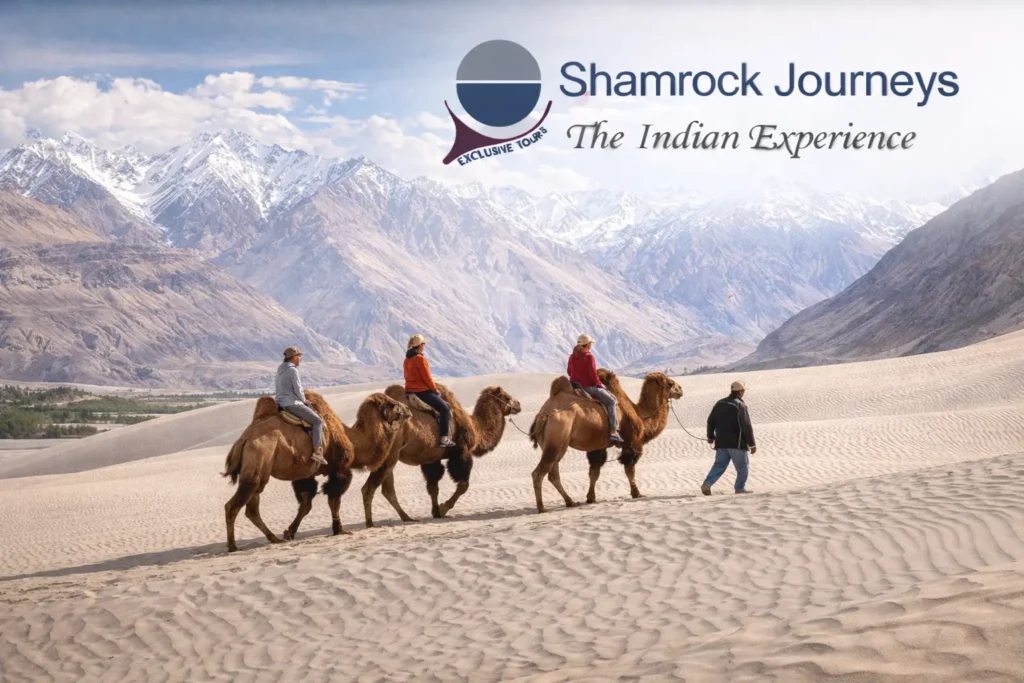Double-humped Bactrian camel safari on the white sand dunes of Hunder, Nubra Valley, during a Ladakh-Golden Triangle tour.