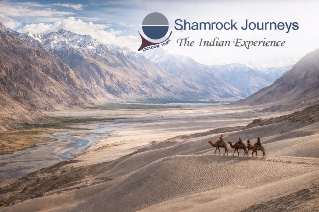 Double-humped Bactrian camel safari on the Nubra Valley sand dunes during a 5-day Ladakh tour package