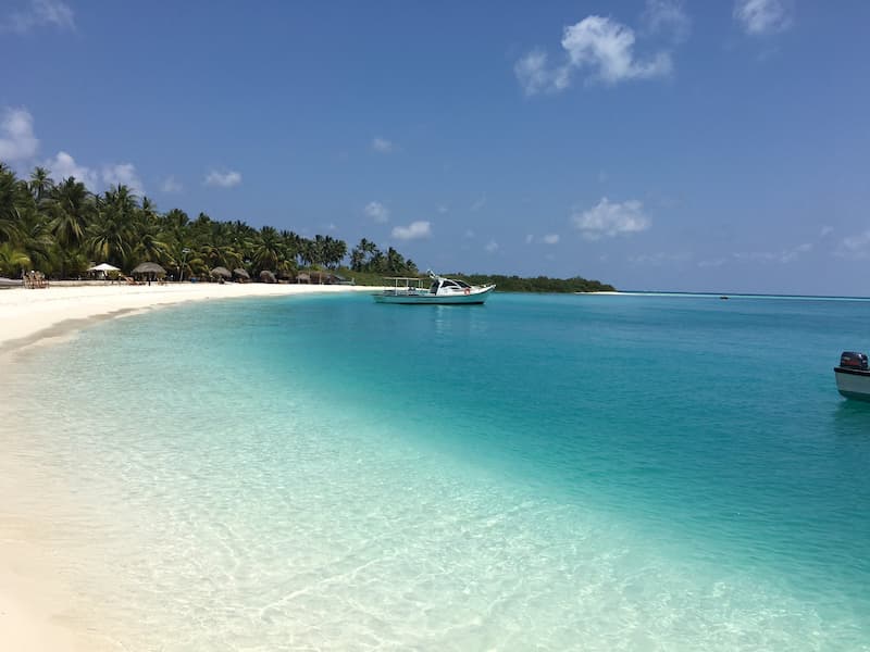 Turquoise waters of Havelock Island, Andaman, ideal for a tropical honeymoon getaway