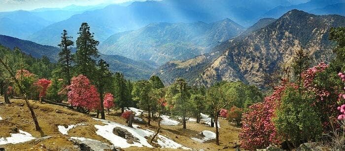 KAUSANI TOUR PACKAGES 8