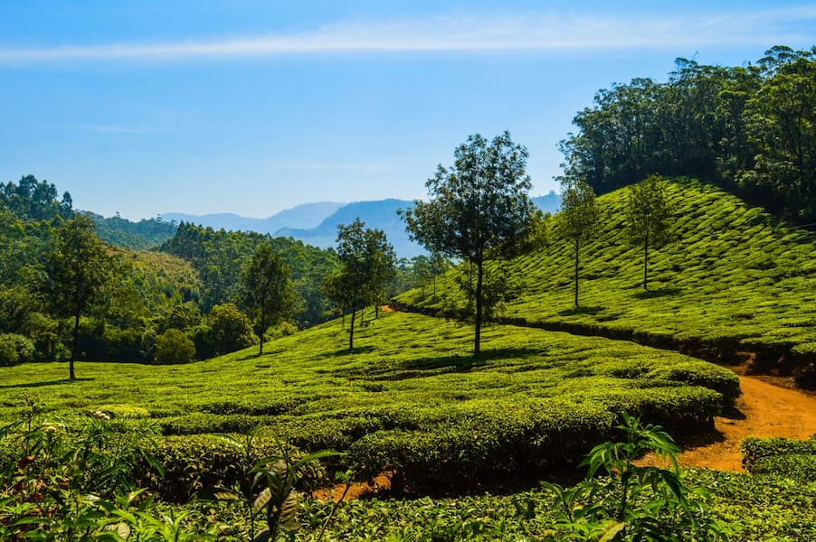 KAUSANI TRAVEL GUIDE 3