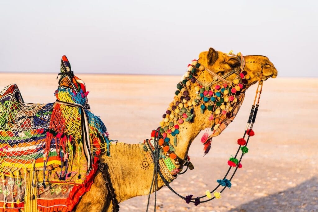 Pushkar Camel Fair, a vibrant desert festival with camel trading and folk performances