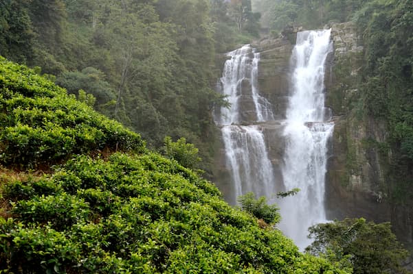 DHARAMSHALA TRAVEL GUIDE 2