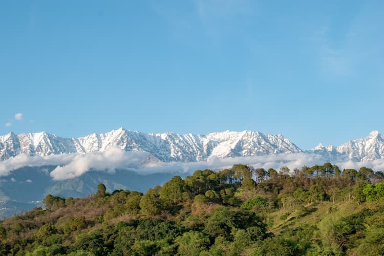 Binsar Wildlife Sanctuary in Binsar, India