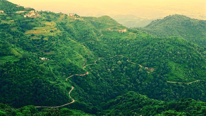 Pine-covered hills of Chail, a quiet hill station near Shimla, Himachal Pradesh