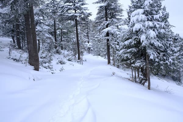 Dalhousie Tour Packages and Travel Guide 1
