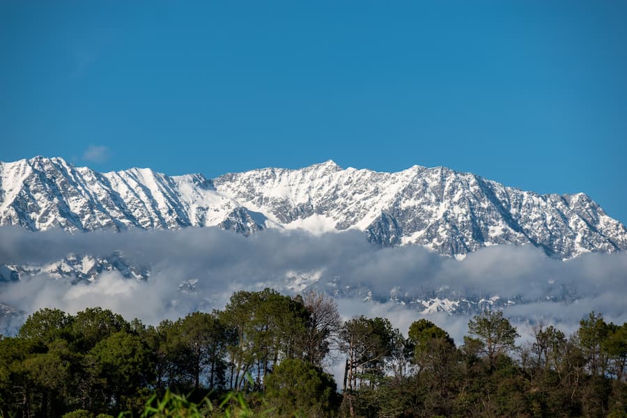 Snow-covered Dhauladhar peaks above Dharamshala