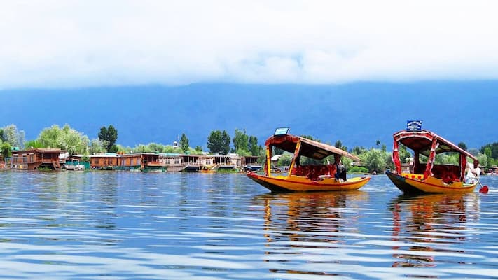 Shikara boats on Dal Lake in Srinagar, Kashmir, India