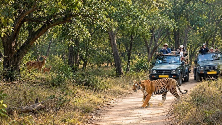 Rajasthan Tour Packages and Travel Guide 4